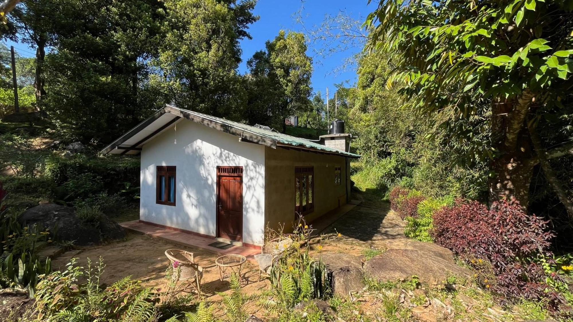 Bed and Breakfast Jungle Tide Канди Экстерьер фото