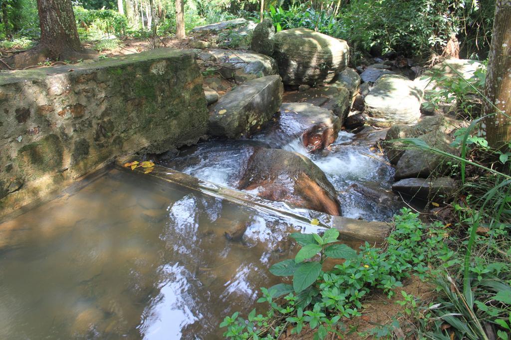 Bed and Breakfast Jungle Tide Канди Экстерьер фото